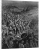 Crusaders Attacking the Saracens by Anonymous