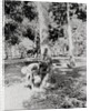Native of Sumatra Removing Sap from Tree by Anonymous