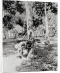 Native of Sumatra Removing Sap from Tree by Anonymous