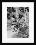 Native of Sumatra Removing Sap from Tree by Anonymous