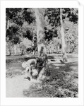 Native of Sumatra Removing Sap from Tree by Anonymous