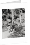 Native of Sumatra Removing Sap from Tree by Anonymous