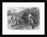Workers Cutting Sugar Cane by Anonymous