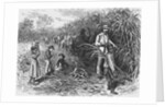 Workers Cutting Sugar Cane by Anonymous