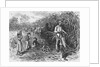Workers Cutting Sugar Cane by Anonymous