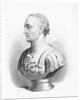 Bust of Julius Caesar by Anonymous