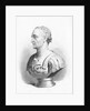 Bust of Julius Caesar by Anonymous