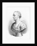 Bust of Julius Caesar by Anonymous