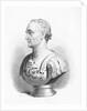 Bust of Julius Caesar by Anonymous
