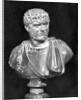 Imperial Roman Bust of Emperor Caracalla by Anonymous
