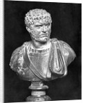 Imperial Roman Bust of Emperor Caracalla by Anonymous