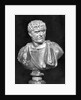 Imperial Roman Bust of Emperor Caracalla by Anonymous