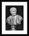 Imperial Roman Bust of Emperor Caracalla by Anonymous