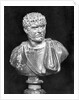Imperial Roman Bust of Emperor Caracalla by Anonymous