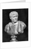 Imperial Roman Bust of Emperor Caracalla by Anonymous