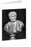 Imperial Roman Bust of Emperor Caracalla by Anonymous