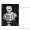 Imperial Roman Bust of Emperor Caracalla by Anonymous