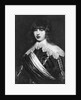 Denmark's King Frederik III by Anonymous