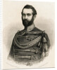 Sweden's King Charles XV by Anonymous