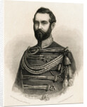 Sweden's King Charles XV by Anonymous