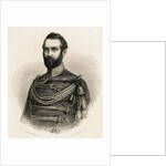 Sweden's King Charles XV by Anonymous