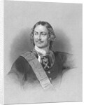 Portrait of Peter the Great by Anonymous