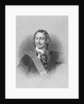 Portrait of Peter the Great by Anonymous