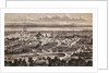 Vastness of Early Montreal by Anonymous