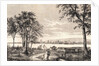 Couple Strolling in Park Across from City by Anonymous