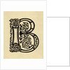 The Letter B by Anonymous