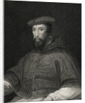 Portrait of Cardinal Reginald Pole by Anonymous