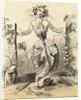 Woman Representing Grape Vine and Wine Making by Anonymous