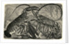 Engraving of Lobster and Spring Lobster by Anonymous