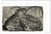 Engraving of Lobster and Spring Lobster by Anonymous