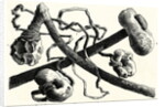 The Early Flint Weapons by Anonymous