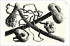 The Early Flint Weapons by Anonymous