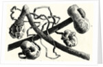 The Early Flint Weapons by Anonymous