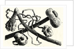 The Early Flint Weapons by Anonymous