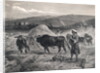 Western Asian Field Workers Threshing Crops with Use of Oxen by Anonymous