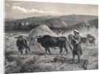Western Asian Field Workers Threshing Crops with Use of Oxen by Anonymous