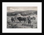 Western Asian Field Workers Threshing Crops with Use of Oxen by Anonymous