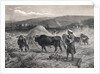 Western Asian Field Workers Threshing Crops with Use of Oxen by Anonymous