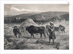 Western Asian Field Workers Threshing Crops with Use of Oxen by Anonymous