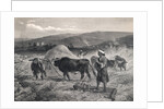 Western Asian Field Workers Threshing Crops with Use of Oxen by Anonymous