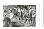 Jubilant French Neighbors Enjoying Dance with Native Americans by Anonymous