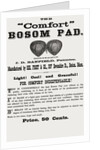 Illustration Showing Early Designed Bosom Pad by Anonymous