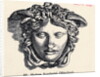 Illustration of Head of Medusa by Anonymous