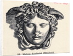 Illustration of Head of Medusa by Anonymous