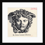 Illustration of Head of Medusa by Anonymous