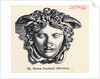 Illustration of Head of Medusa by Anonymous